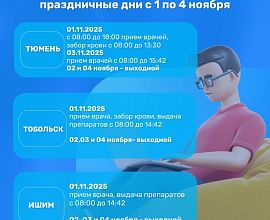 График работы в праздничные дни с 1 по 4 ноября 2025 года